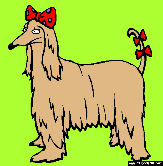 Afghan Hound Dog Coloring Page