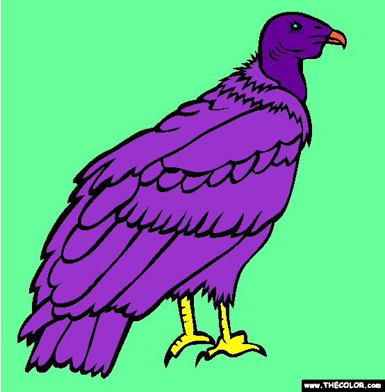 california condor coloring pages - photo #23