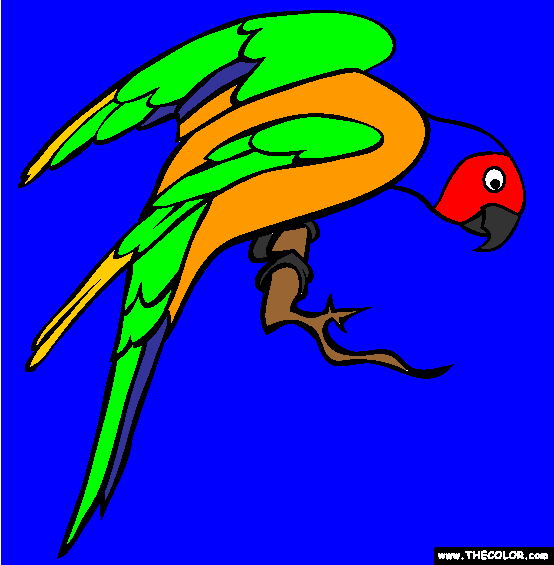 Perched Parakeet Coloring Page