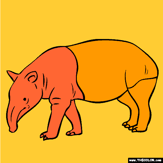 tapir and juvenile coloring pages - photo #25