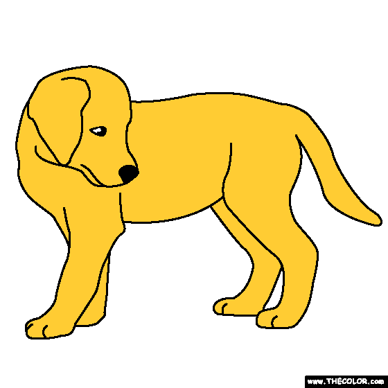 baby golden retriever coloring pages - photo #13
