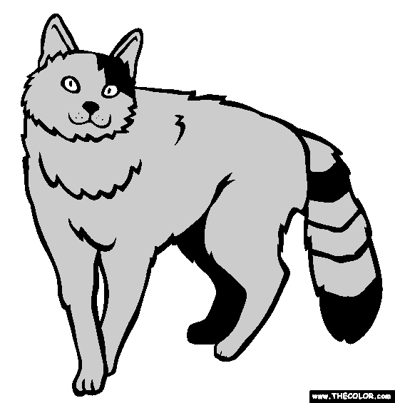 Turkish Van Breed Cat Online Coloring Page