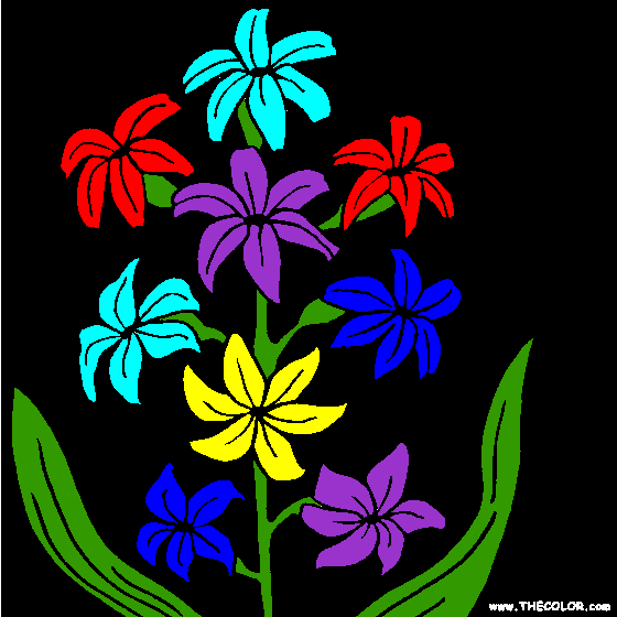 Hyacinth Flower Online Coloring Page