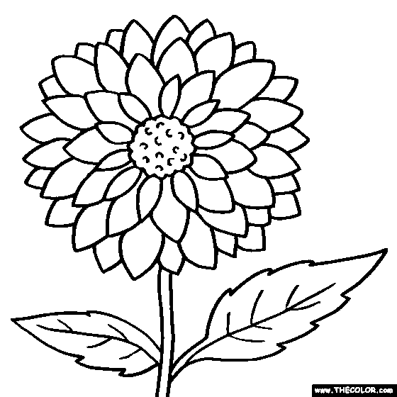 zinnia coloring pages - photo #19
