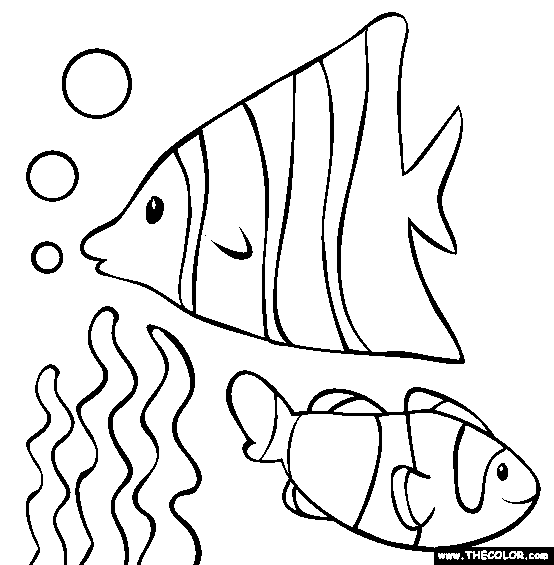 fish pictures for coloring. Fish Coloring Page
