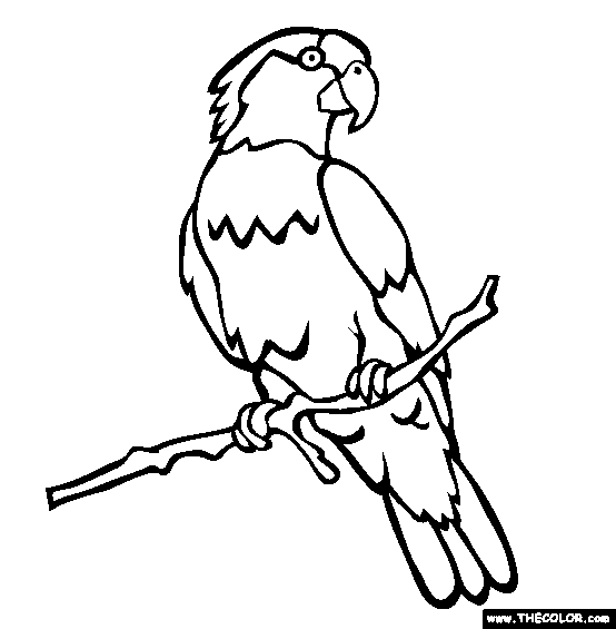 Parrot coloring pages