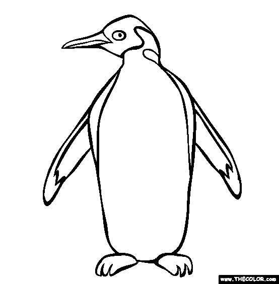 yellow eyed penguin coloring pages - photo #48
