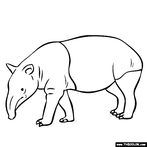 tarsier coloring pages - photo #36