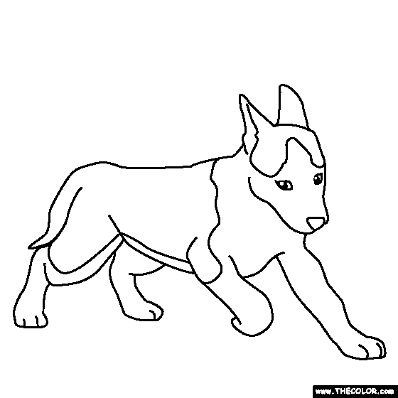 baby husky coloring pages to print - photo #13