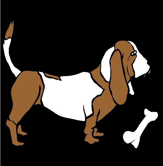 Basset Hound Coloring Page