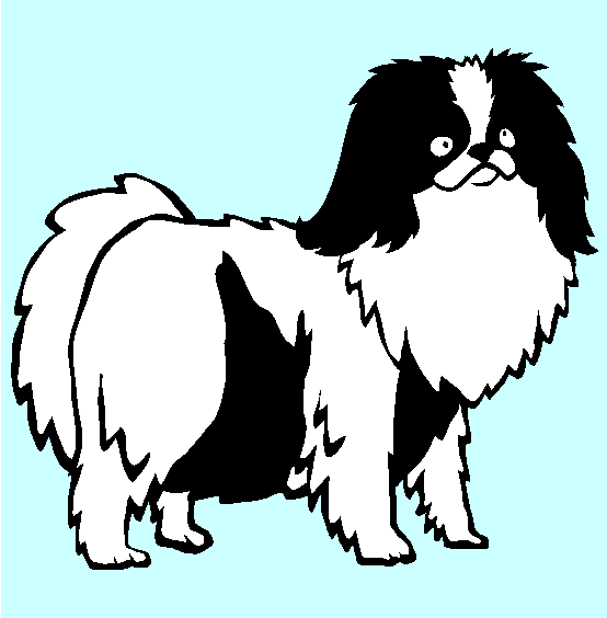 Japanese Chin Coloring Page