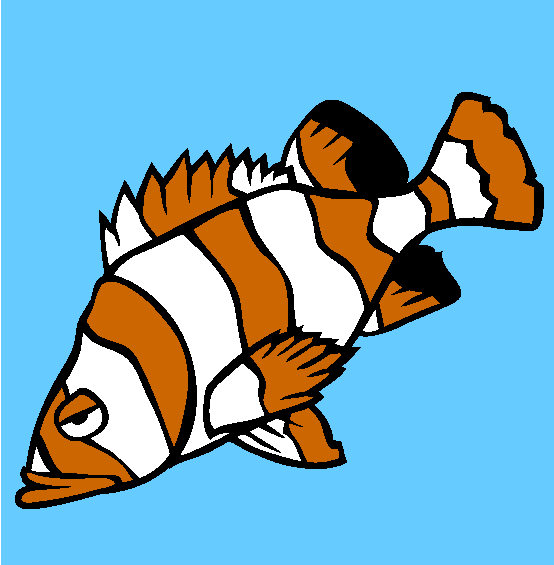 Flag Rockfish Coloring Page