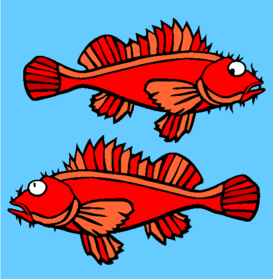 Scorpionfish Coloring Page