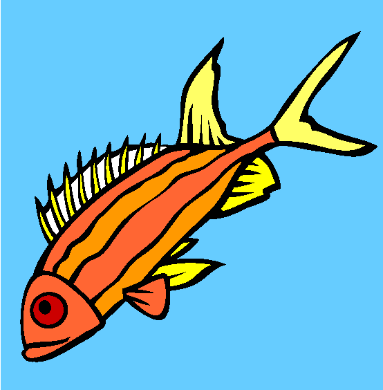 Squirrelfish Coloring Page