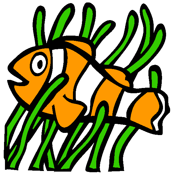 Clown Anemonefish Coloring Page