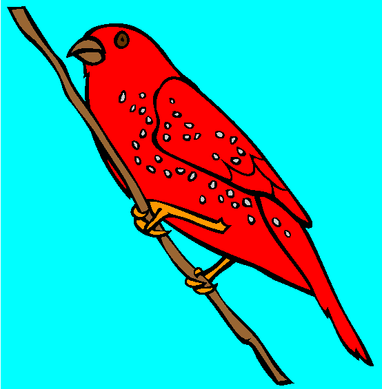 Strawberry Finch Coloring Page