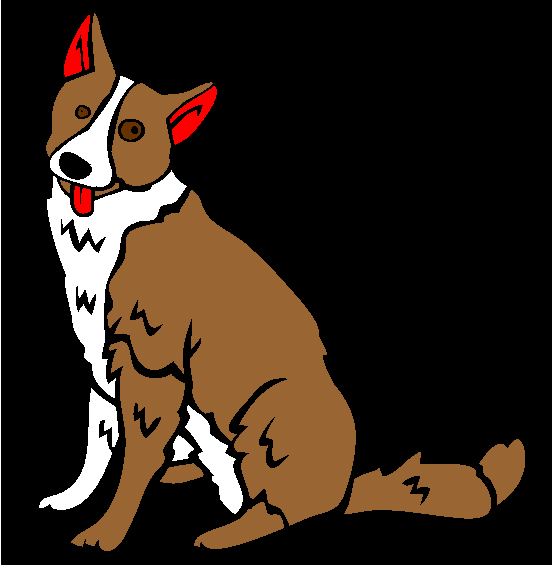 Karelian Bear Dog Coloring Page