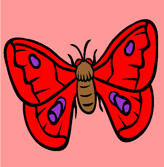 Moth Coloring Page