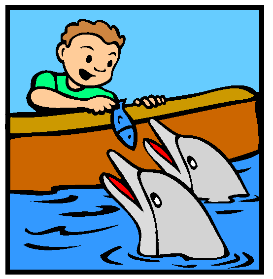 Feeding Dolphins Coloring Page
