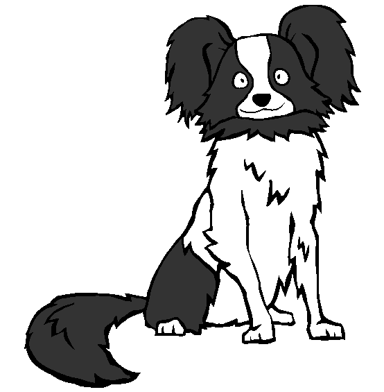 Papillon Coloring Page