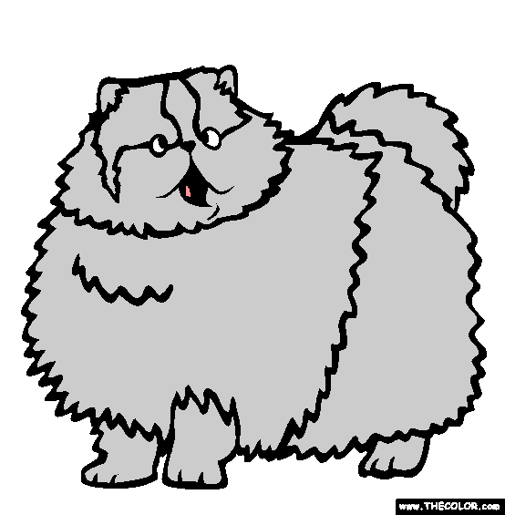 Persian Cat Online Coloring Page