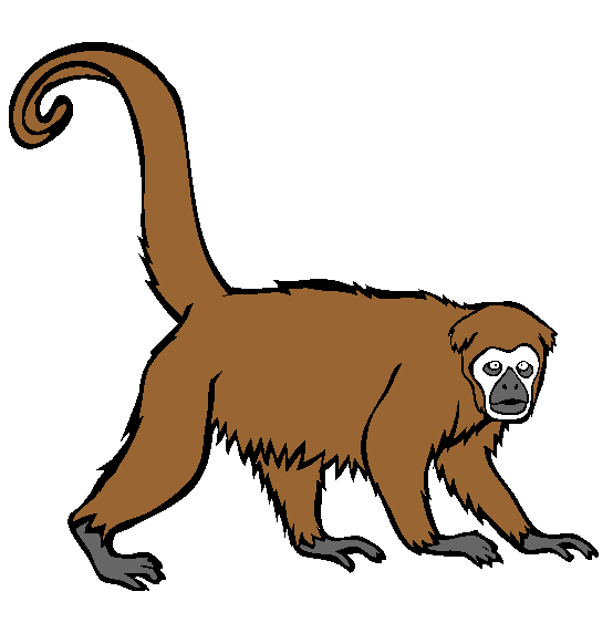 Yellow Tailed Wooly Monkey Coloring Page