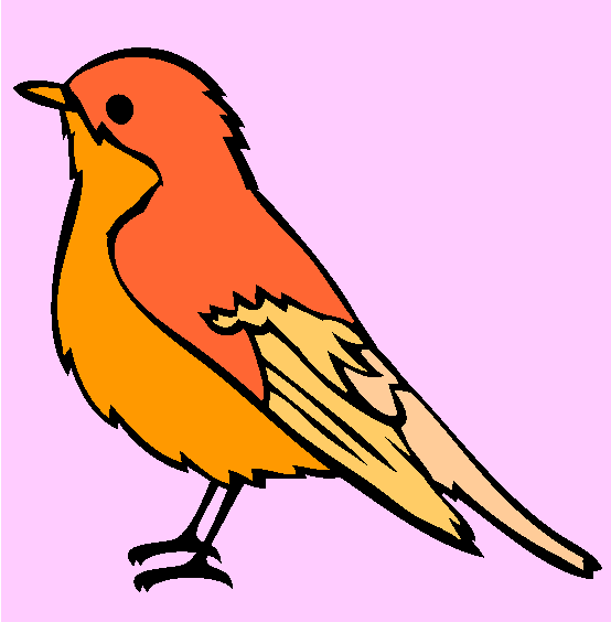 Pied Flycatcher Coloring Page