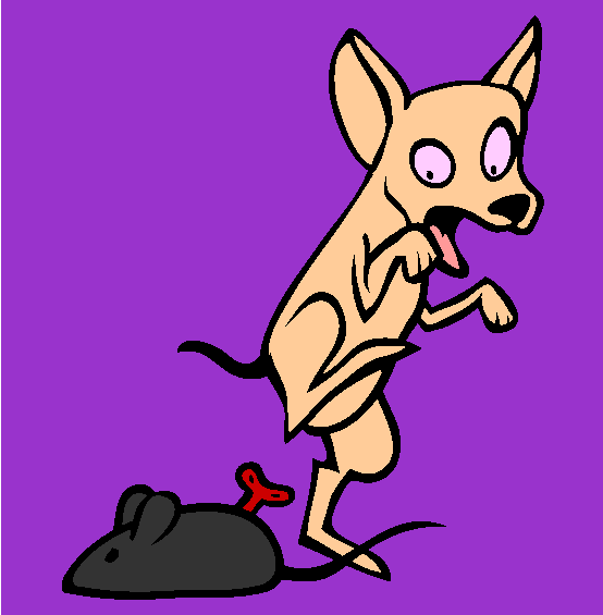 Chihuahua Coloring Page