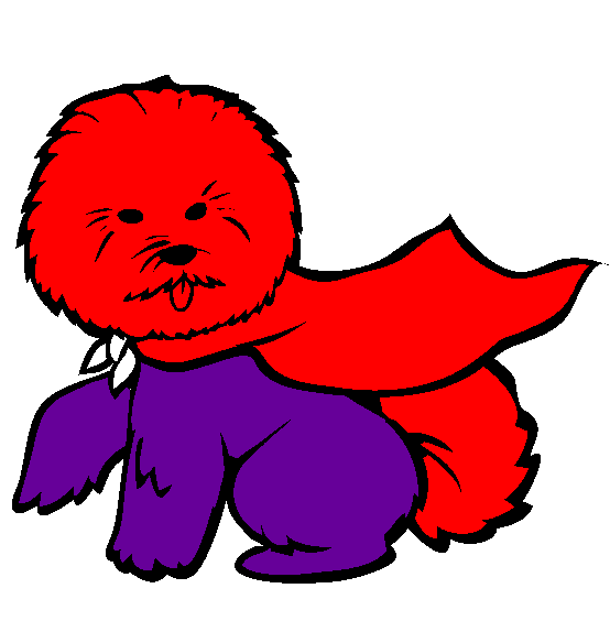 Bichon Frise Coloring Page