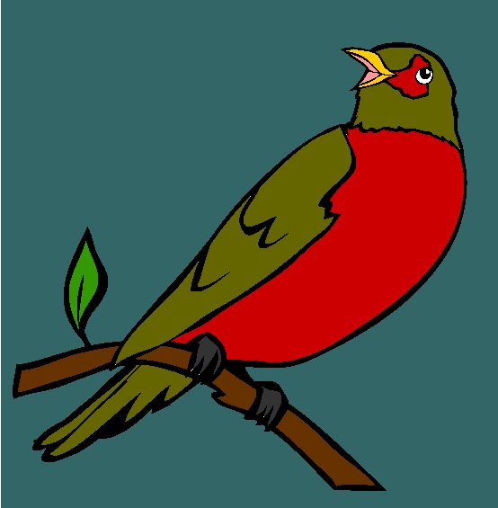 Perched Robin Coloring Page