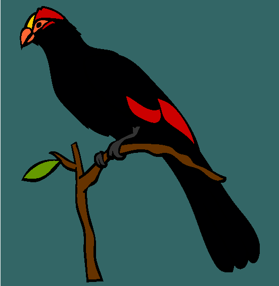 Violet Turaco Coloring Page