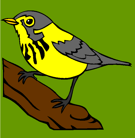 Canada Warbler Coloring Page