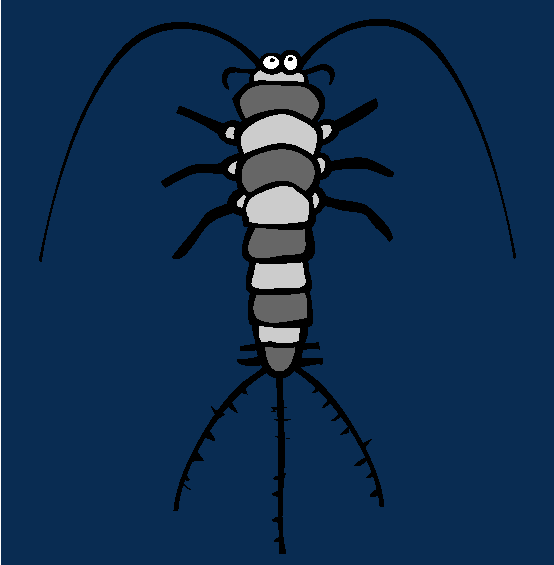 Silverfish Coloring Page