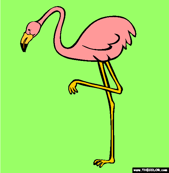 Flamingo Coloring Page