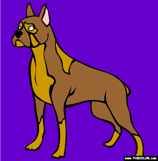 Boxer Coloring Page