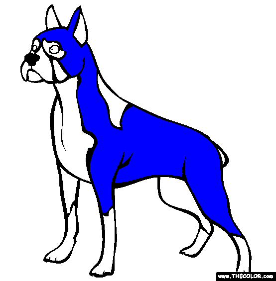 Boxer Coloring Page