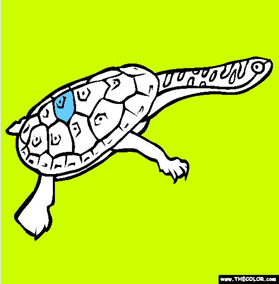 Snake Necked Turtle Coloring Page