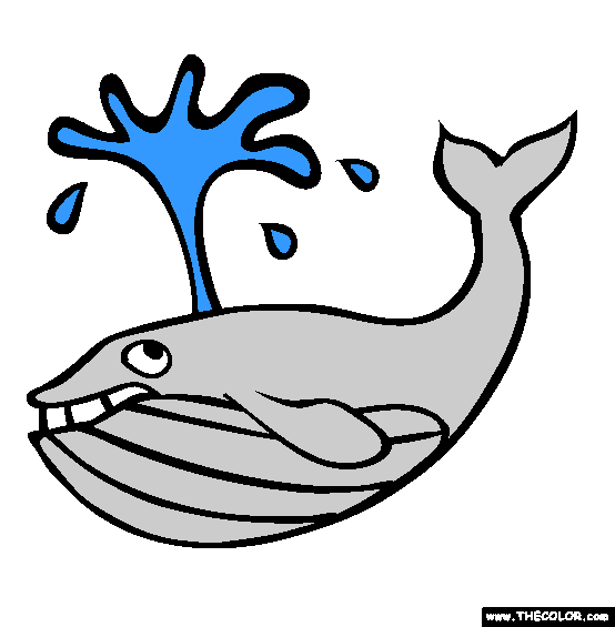 Bluewhale Coloring Page