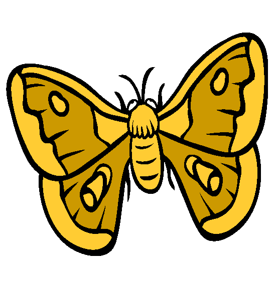 Moth Coloring Page