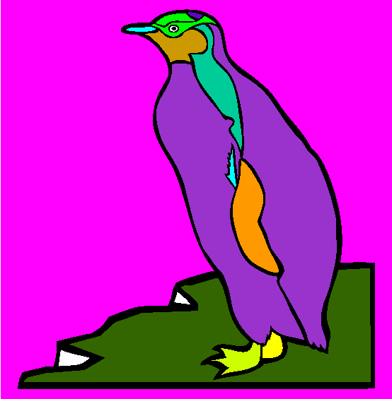 Yellow Eyed Penguin Coloring Page