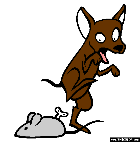 Chihuahua Coloring Page