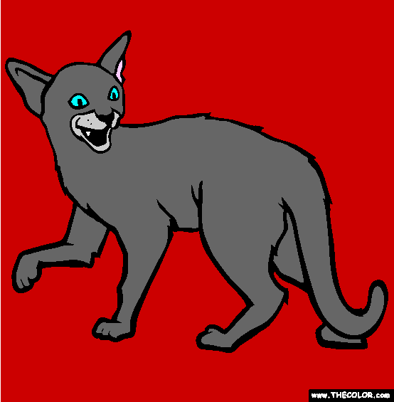 Abyssinian Cat Coloring Page