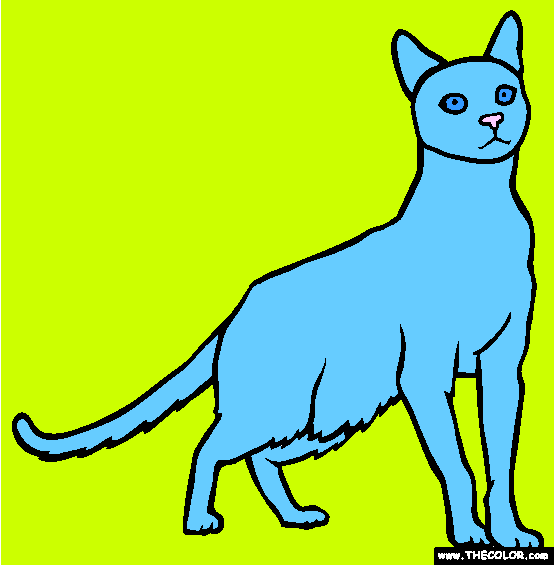 Havana Brown Cat Online Coloring Page