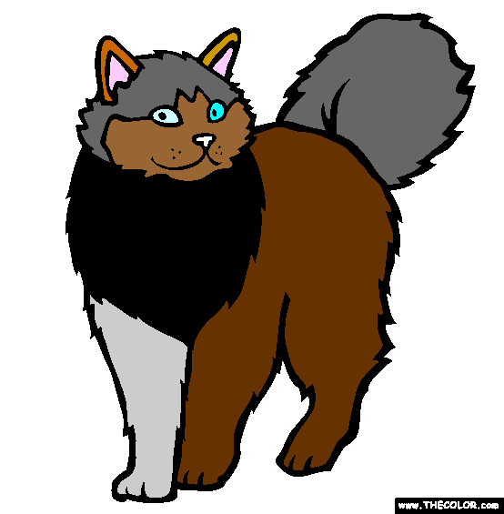 Ragdoll Breed Cat Online Coloring Page