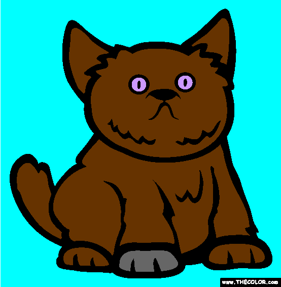 Exotic Shorthair Cat Online Coloring Page