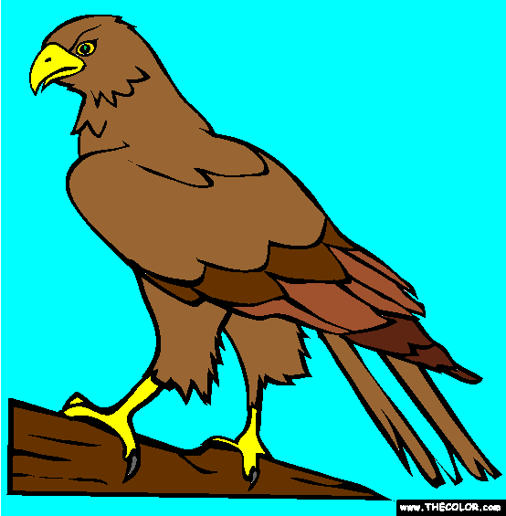 Perched Hawk Coloring Page