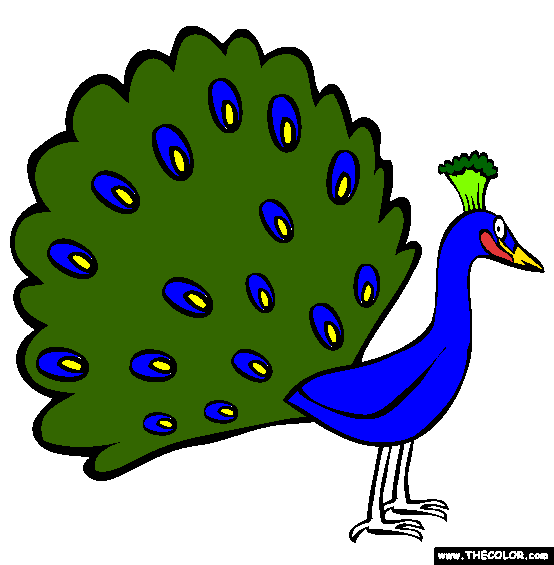 Peacock Coloring Page