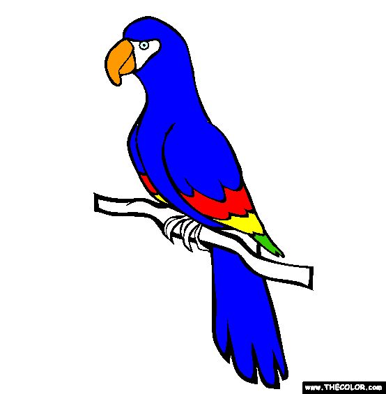 Parrot Coloring Page