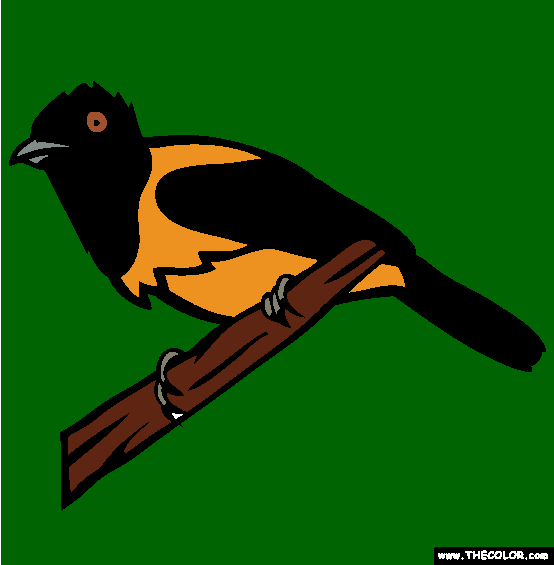Hooded Pitohui Coloring Page