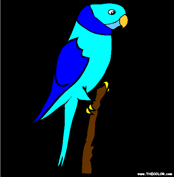 Parakeet Coloring Page